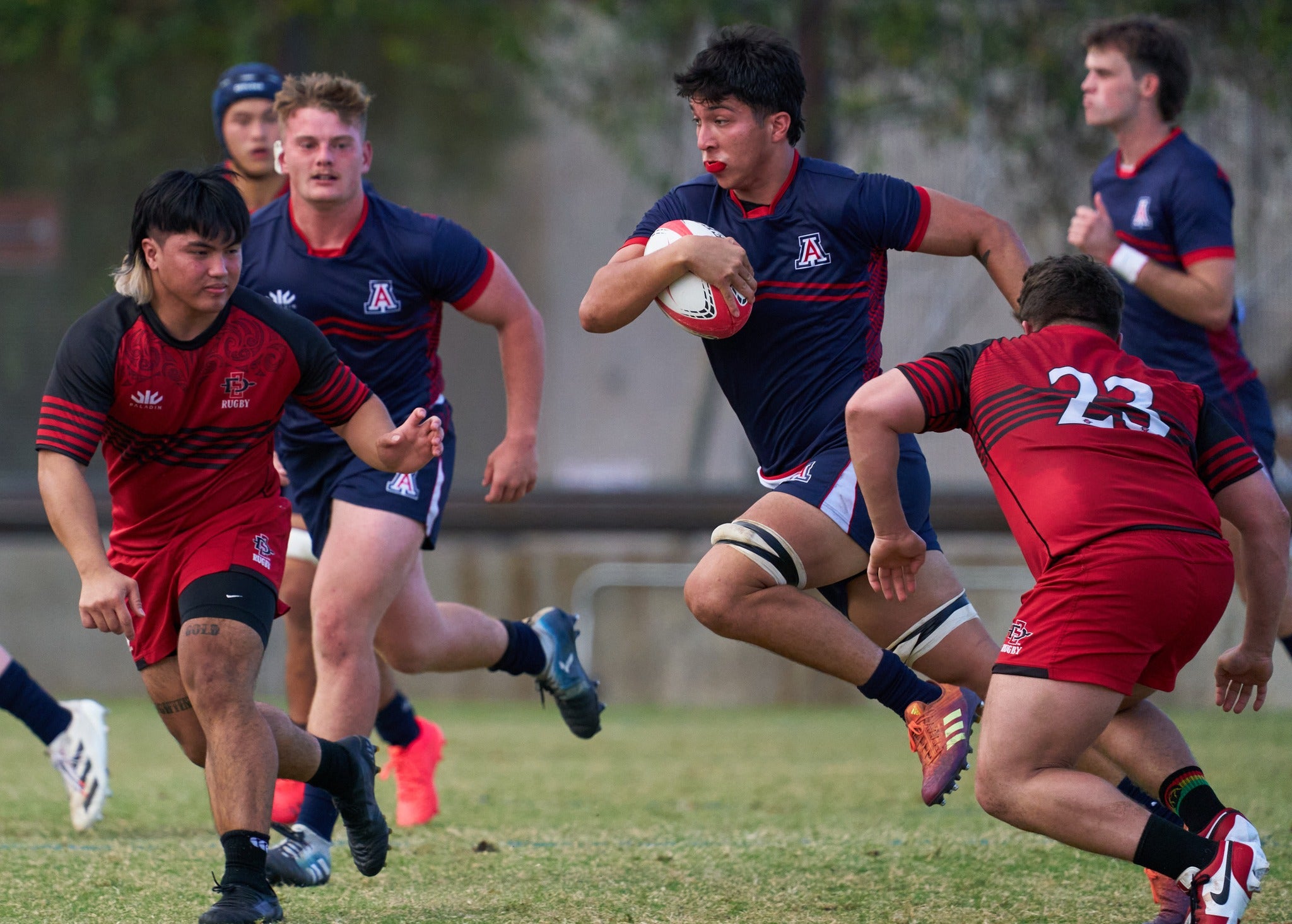 Arizona Rugby "Takes the Next Step" with SPT